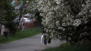 Ах, черёмуха белая. Видеоклип. Поёт Юргина Галина