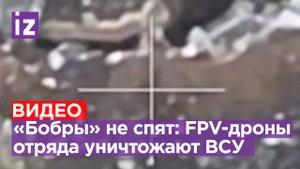 Подборка ударов FPV-дронами по бойцам ВСУ: отряд «Бобр» продолжает «выносить» националистов