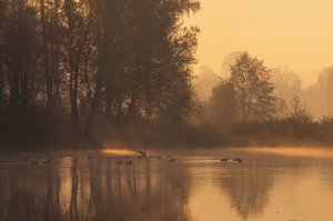 Не гляди назад, не гляди. Клячкин Евгений. Поёт автор канала