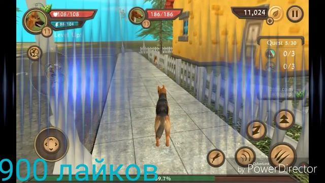 Собачье утро 2# с улучением смотреть онлайн