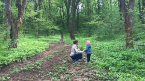 Мультик про привидение, зомби и больших пауков