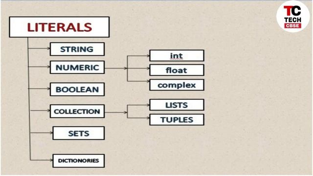 Tokens in python |Python Tokens | python for class 11 |Computer science and IP | #3