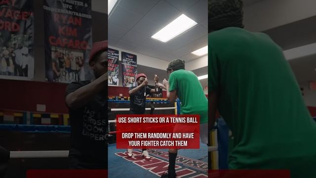 Improve Your Fighters Reaction Time #boxing #reactiontime #shorts