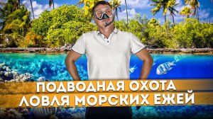 Подводная охота или ловля морских ежей на острове Лохифуши | Мальдивы #9 #СОЧИЮДВ  | Путешествие