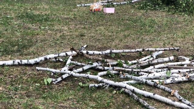 Как мы выходили птенца синички-пухляка или почему наш питомец - Счасливчик (8) смотреть онлайн