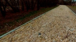 Поиски поселка Шлюзы