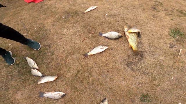 КОПЧЕНИЕ РЫБЫ ПРЯМО НА РЫБАЛКЕ