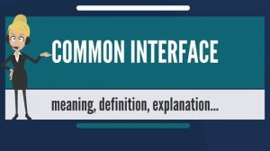 What is COMMON INTERFACE? COMMON INTERFACE meaning & explanation