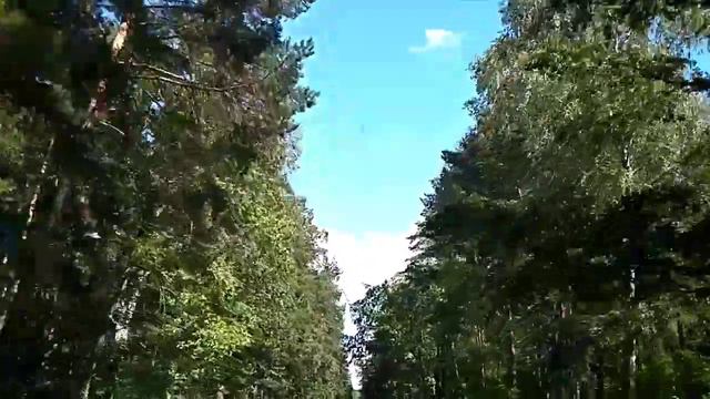 Летняя дорога на дачу.2020. смотреть онлайн