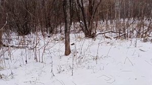 Санта Клауса не существует !