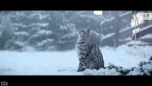 Whiskas — «Новогодние волшебники (Full Story)» в 8х быстрее | PRO Рекламу
