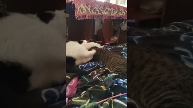 Во всех отношениях такое бывает. смотреть онлайн