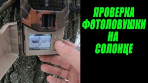 Проверка фотоловушки 02.12.2023 / Фотоловушка в лесу