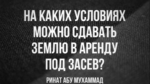 313. На каких условиях можно сдавать землю в аренду под засев?