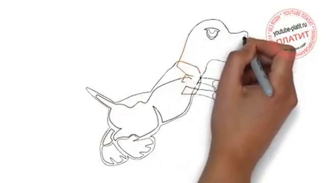 Как нарисовать собака карандашом смотреть онлайн