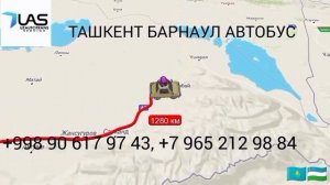 Ташкент Барнаул автобус #ташкентбарнаулавтобус
