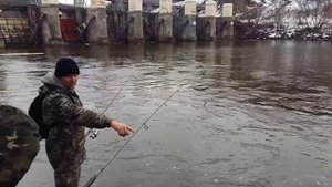 St.Croix Wild River  на Южном Буге (Тестирование спиннинга)