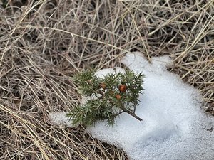 Прогулка по лесу - Севастопольская тропа - Скельская пещера