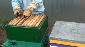 Пчёлы не идут в магазин - что делать ? Как заставить пчел осваивать магазинную наставку