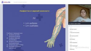 Лимфатическая система | Нормальная анатомия человека