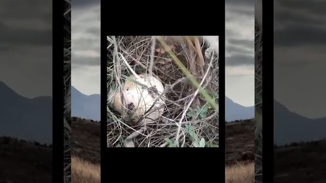 Красота природы смотреть онлайн