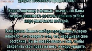 К чему снится Пшеница, толкование сна