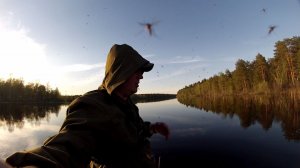 Эти ГАДЫ не дали мне порыбачить....