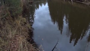 Рыбалка на хариуса в Октябре 2021г. Коми. (из невошедшего)