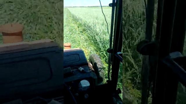 Сенокос 2020 смотреть онлайн