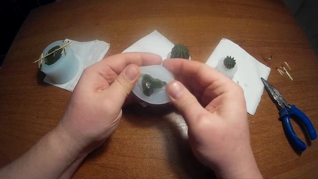 Кактусы для диорам - проверка молдов смотреть онлайн