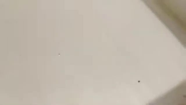 Как помыть инкубатор после закладки яиц смотреть онлайн