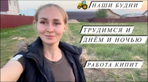 Весенний день.С нами не соскучишься!спасаем павлинёнка