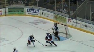 Springfield Falcons vs. Bridgeport Sound Tigers, February 15, 2014