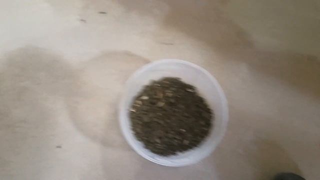 Домашнее мини УЗВ- про корм и наши проблемы смотреть онлайн