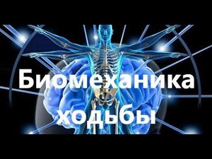 Нейрореабилитация. Биомеханика и фазы нормальной ходьбы. Этапы восстановления...