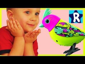 ★ DigiBirds ПТИЧКИ Поют Разные Мелодии Хором Видео для детей DigiBirds & Friends DigiOwl Singing