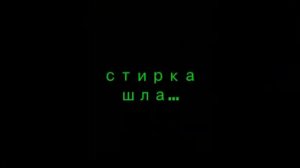 Стирка Басика в стиральной машине