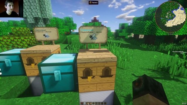 Minecraft: как вывести алмазную пчелу, имперскую и трудолюбивую