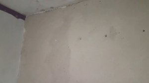 НАЧАЛО РЕМОНТА КОМНАТЫ. Капитальный, пошаговый ремонт комнаты.