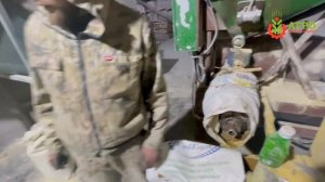 Производство кормов для собак. Живой отзыв от компании Сибагрокорм по работе нашего экструдера.