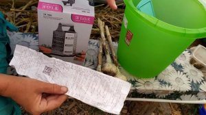 Про антракноз на ежевике, ежемалине и кумберлендах. Как спасти растения в жару.