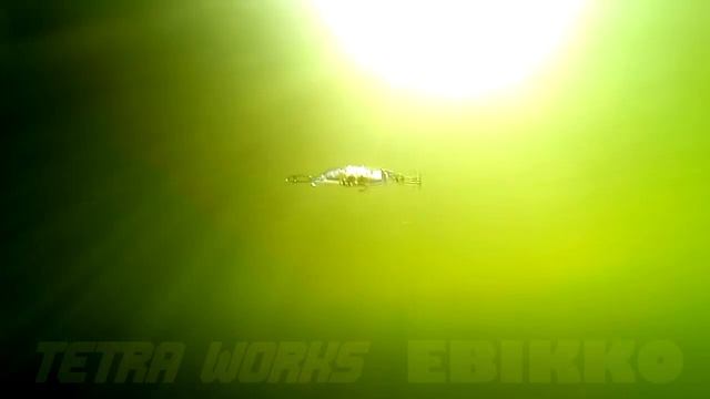 DUO`s Lures in Motion #33: Tetra Work Ebikko смотреть онлайн