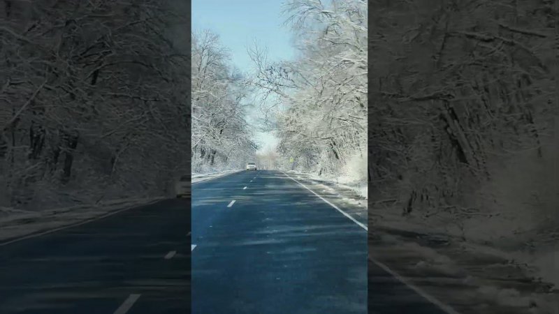 Зима на Кубани. Дорога в Ейск.