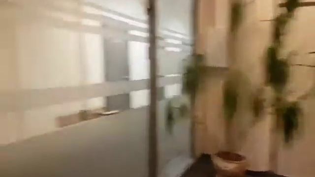 Спасение драцены