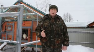 Продаю инкубационное яйцо лучшей яйценоской породы кур мира Леггорн.