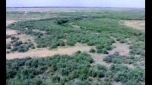 Река Арысь Автор видео Каримбаев Андрей