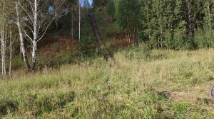 В гору на progasi smart 150