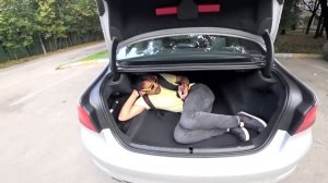 Дима и Сударь)