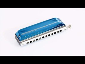 Песня Stevie Wonder - I Just Called to Say I Love You на хроматической гармонике #hromaticharmonica