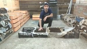 Разведение червей.Выборка малька от коконов и субстрата.